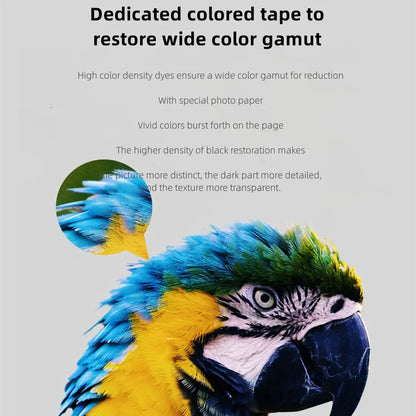 Xiaomi Mi Photo Printer Dedicated 6-inch 80 pcs Back Self-adhesive Photo Paper Colored Tape Set HD Protective Film Photo Papers
