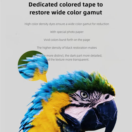 Xiaomi Mi Photo Printer Dedicated 6-inch 80 pcs Back Self-adhesive Photo Paper Colored Tape Set HD Protective Film Photo Papers