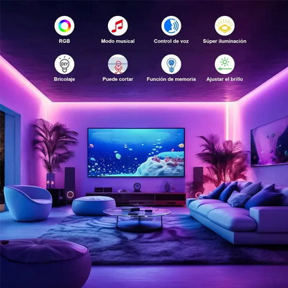 24V LED Strip Light Bluetooth Waterproof RGB Neon Light With Remote Control Music Sync DIY Bedroom Home Decoration Ambient Light