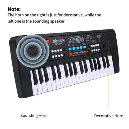BIGFUN 37 Keys/49 Keys USB Electronic Organ Keyboard Piano Digital Music Electronic Keyboard with Microphone Black